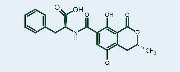 What Is Ochratoxin? - Romer Labs