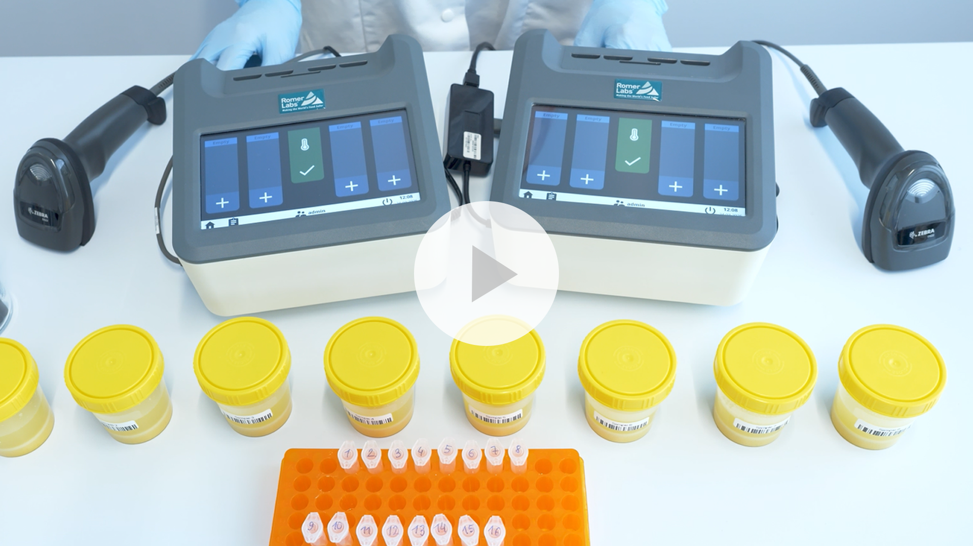 AgraStrip® Pro Total Aflatoxin WATEX® | High-Throughput Aflatoxin